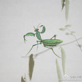 Small_15d0c053fb76274345b4e06441088342