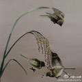 Small_5f50da525140bc2675e6d1f5890249e5