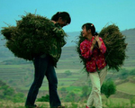 Small_fe5eaefe023ab9e9b28388af8db0b2b5